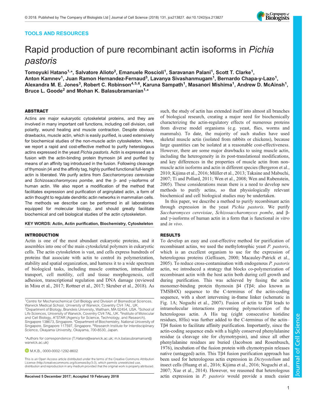 Rapid Production of Pure Recombinant Actin Isoforms in Pichia Pastoris