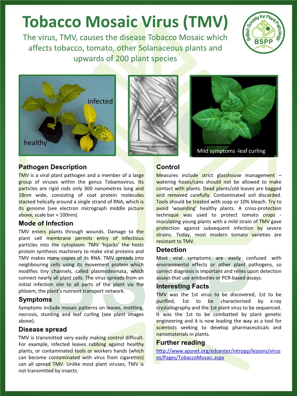 Tobacco Mosaic Virus (TMV) the Virus, TMV, Causes the Disease Tobacco Mosaic Which Affects Tobacco, Tomato, Other Solanaceous Plants and Upwards of 200 Plant Species