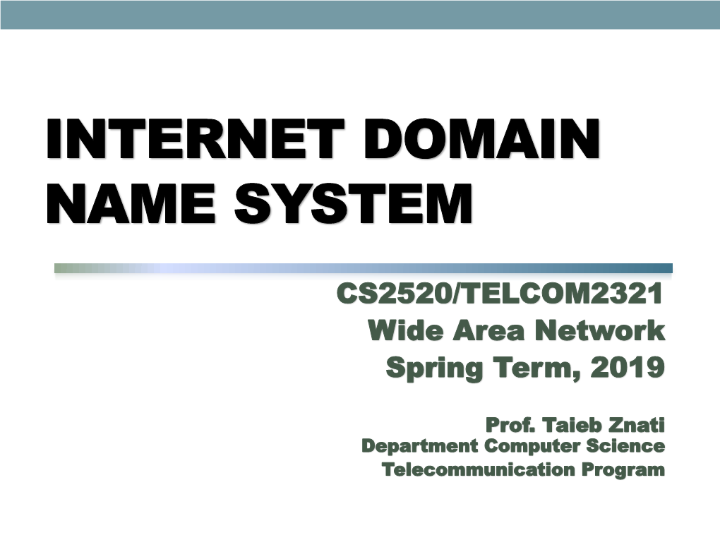 Internet Domain Name System