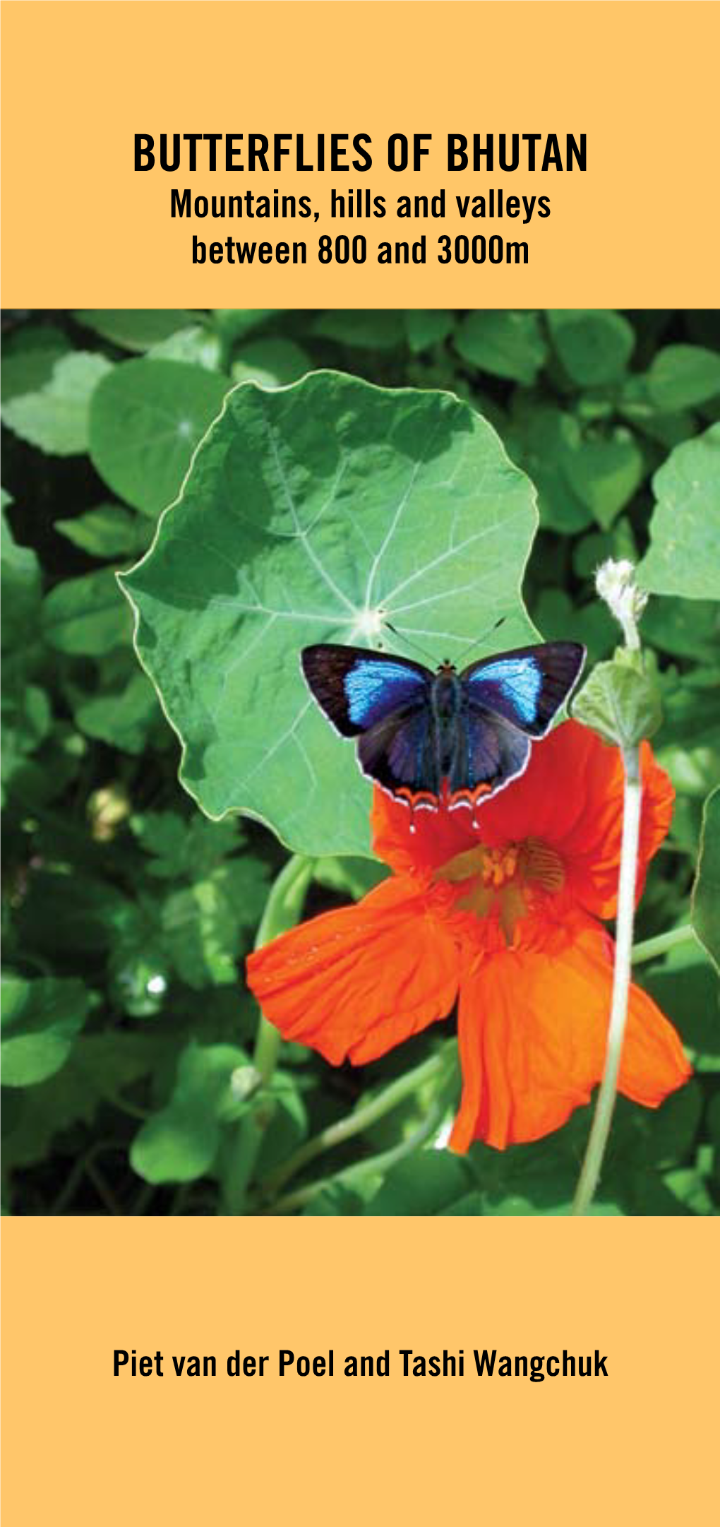 BUTTERFLIES of BHUTAN Mountains, Hills and Valleys Between 800 and 3000M