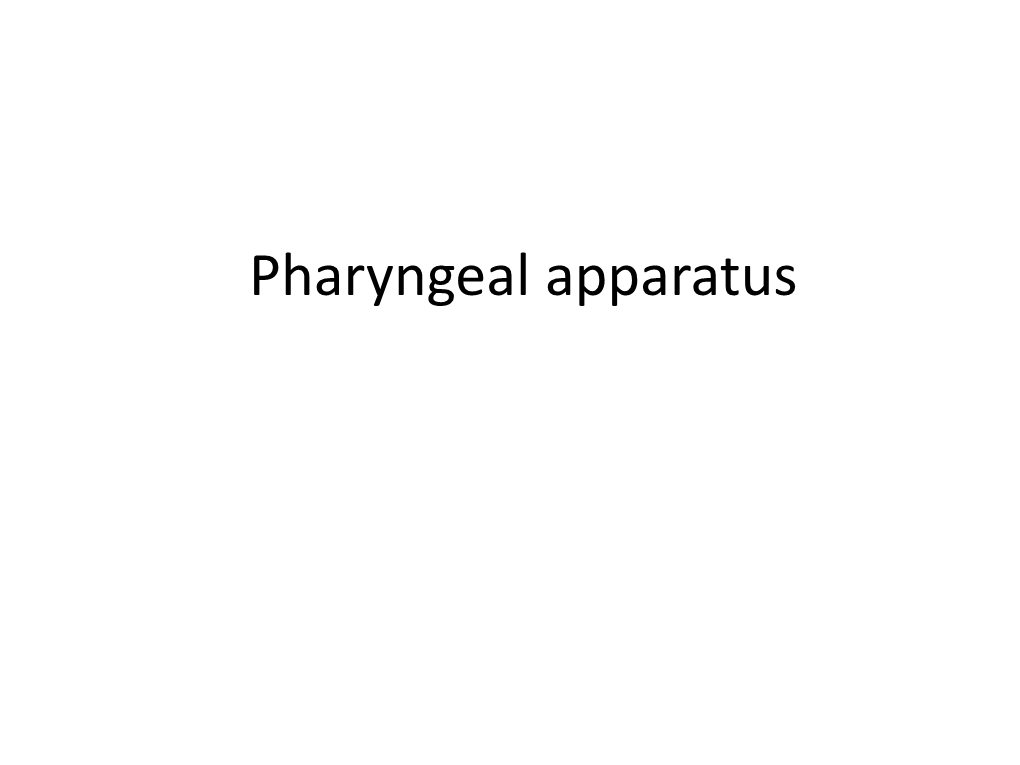 Pharyngeal-Apparatus.Pdf