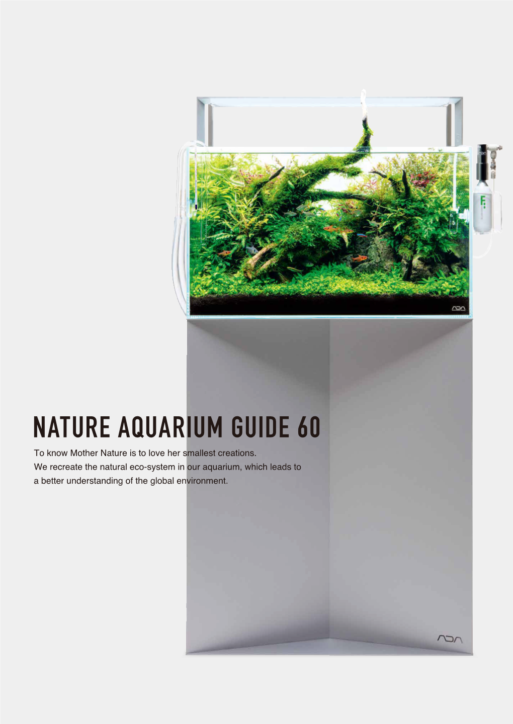 NATURE AQUARIUM GUIDE 60 Layout Equipment Set-Up Equipment Aquascape Maintenance