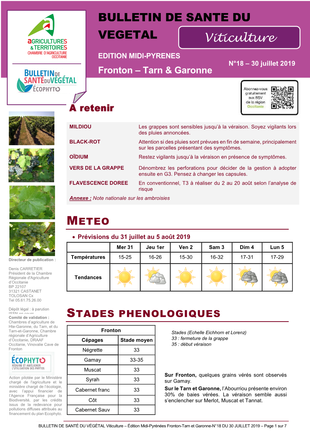 BULLETIN DE SANTE DU VEGETAL Viticulture