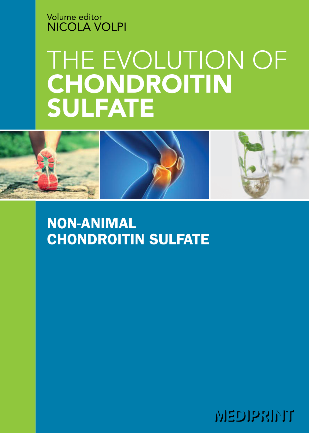 The Evolution of Chondroitin Sulfate