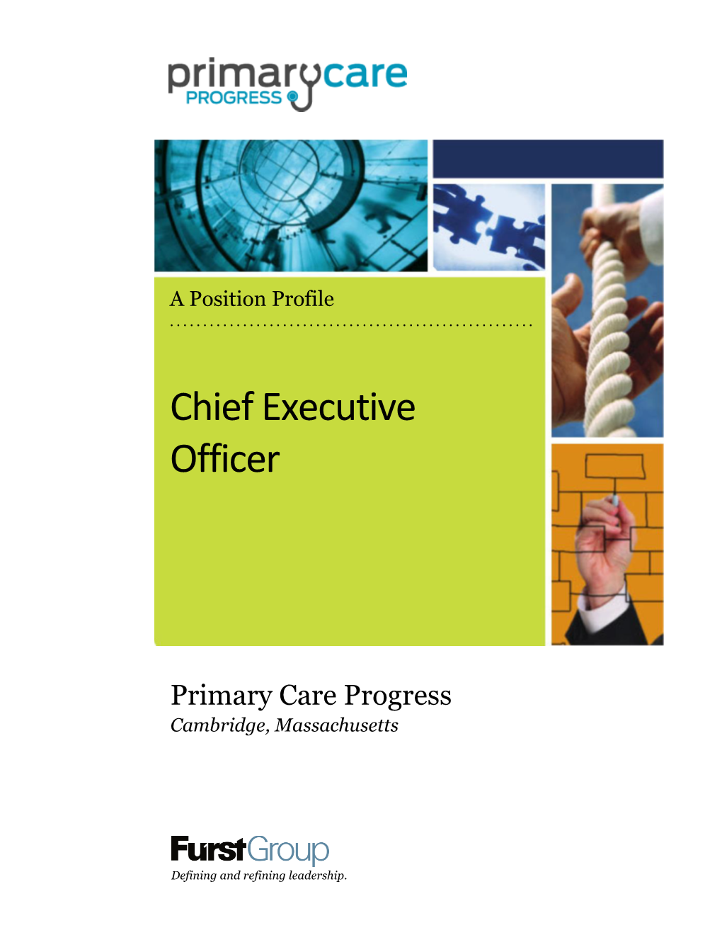 Chief Executive Officer