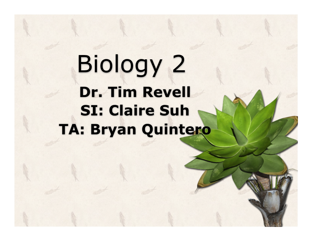 Biology 2 Dr