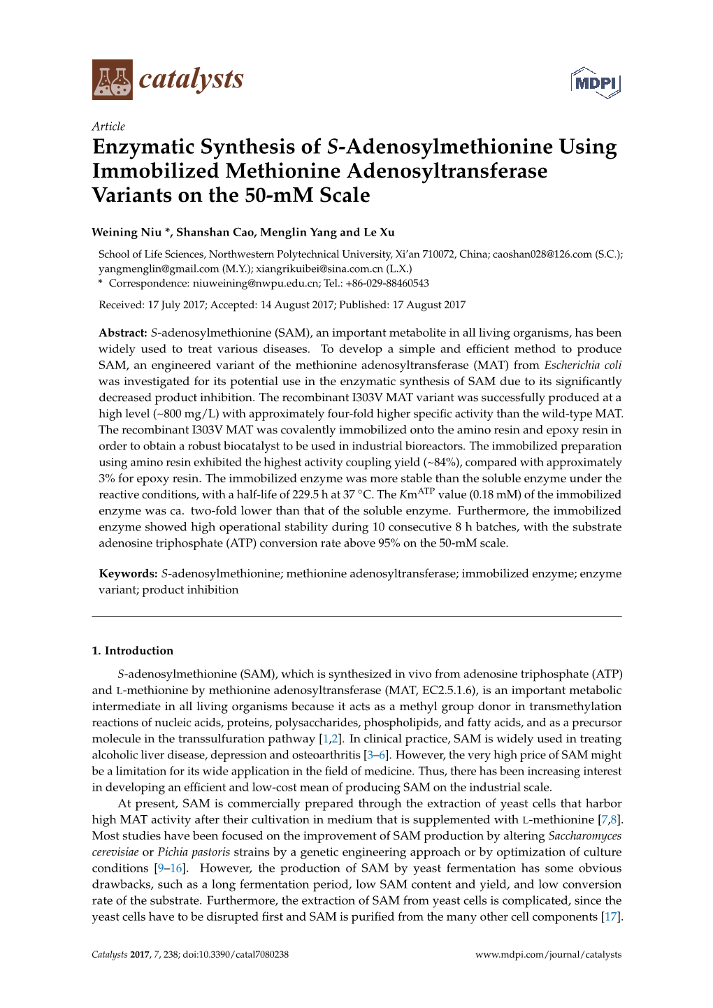 Enzymatic Synthesis of S-Adenosylmethionine Using Immobilized Methionine Adenosyltransferase Variants on the 50-Mm Scale