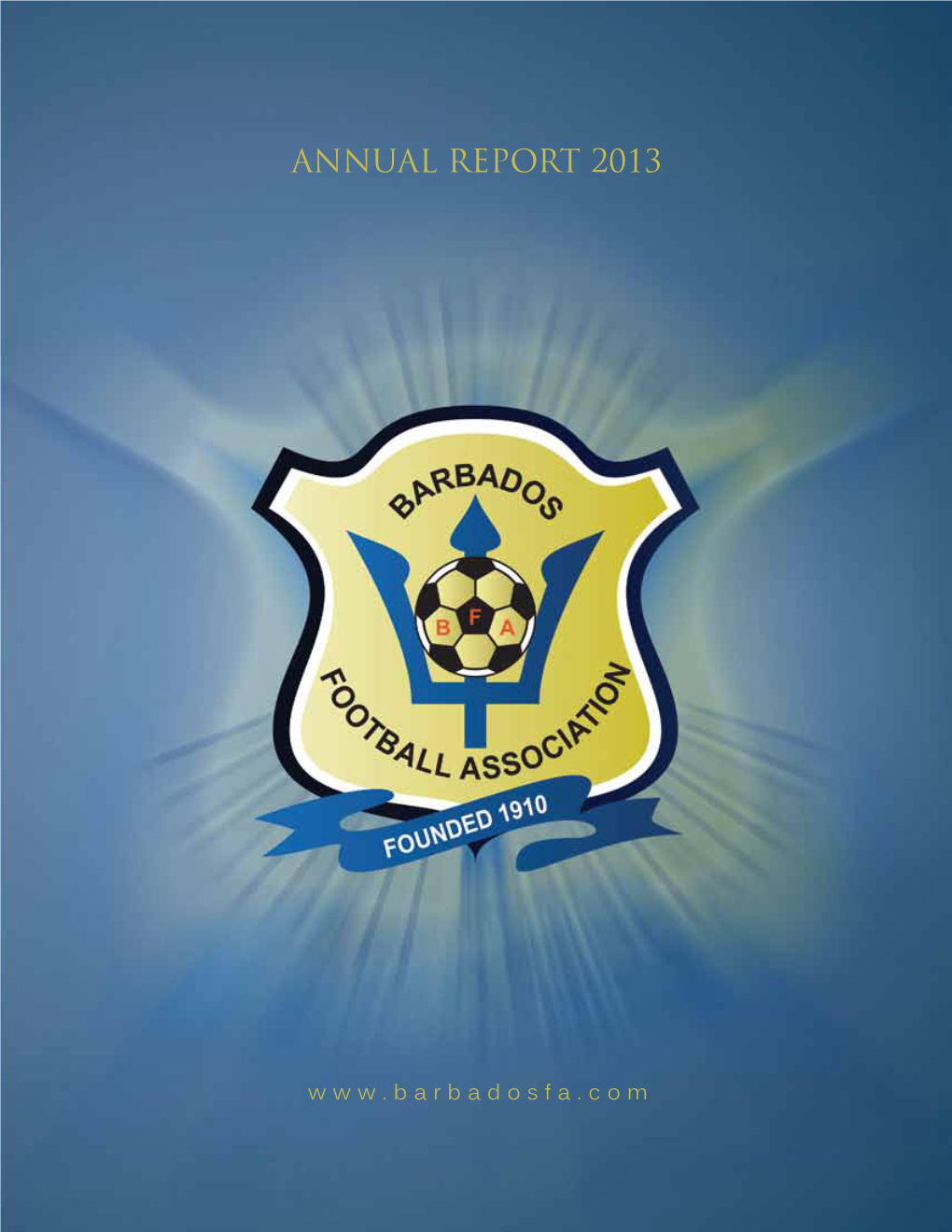 Annual Report 2013