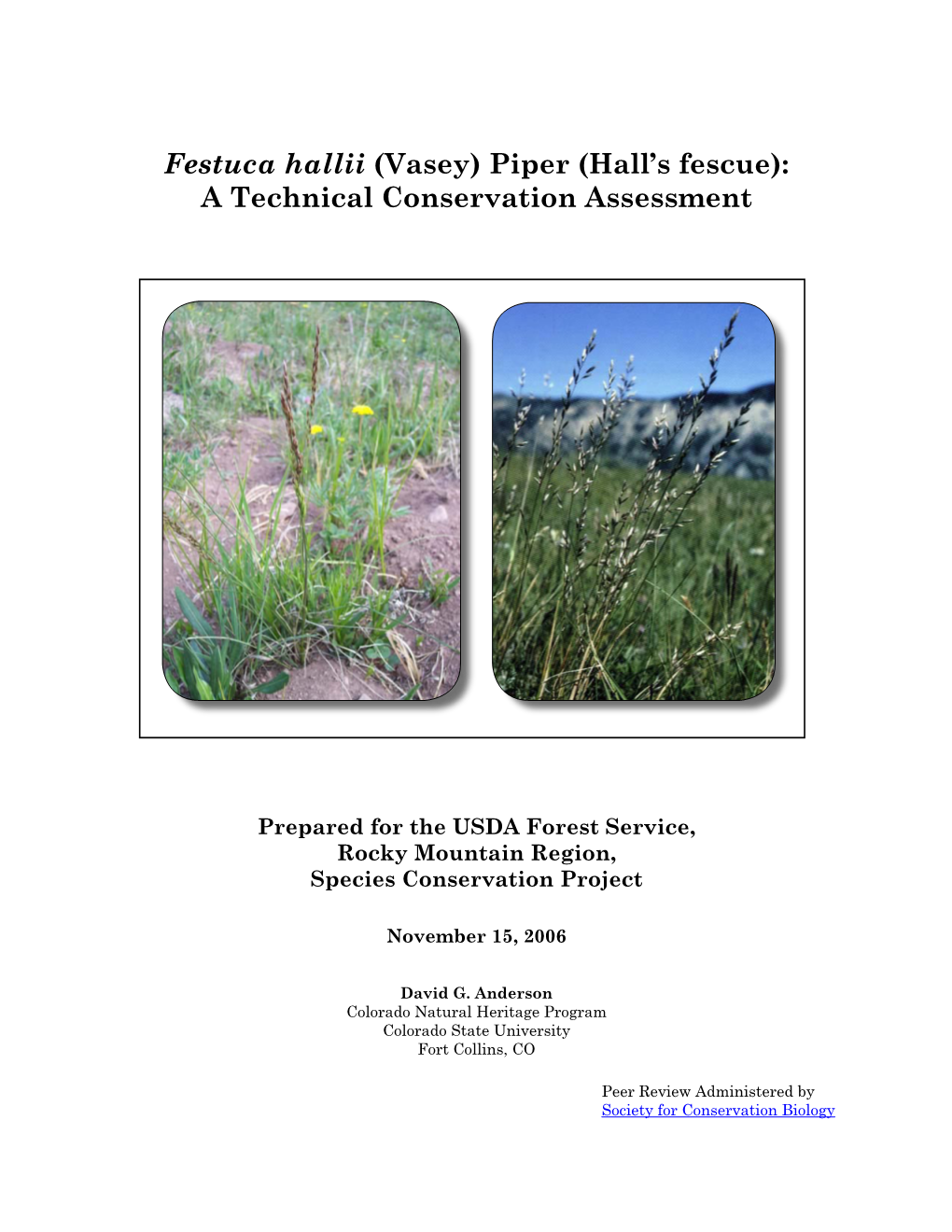 Festuca Hallii (Vasey) Piper (Hall’S Fescue): a Technical Conservation Assessment