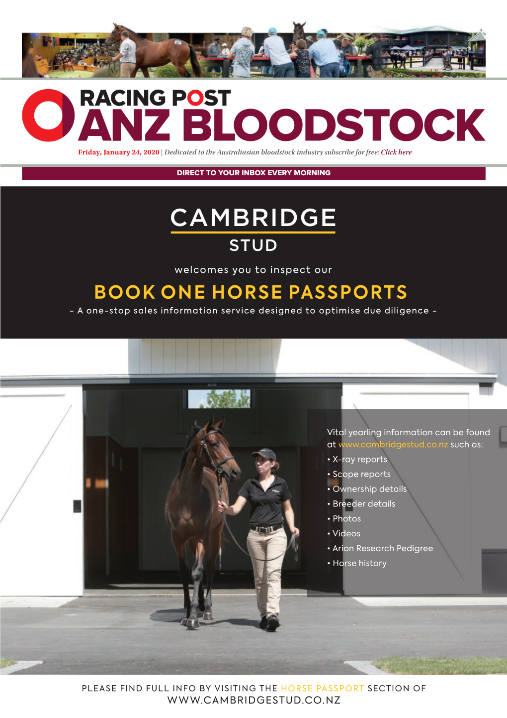 BOOK ONE HORSE PASSPORTS - a One-Stop Sales Information Service Designed to Optimise Due Diligence