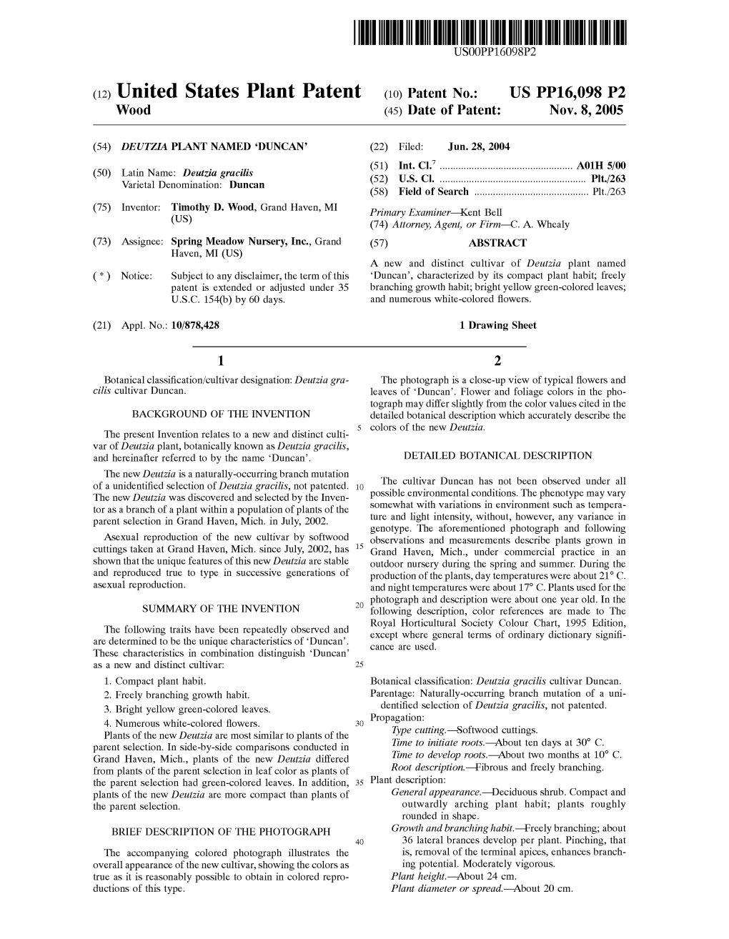 (12) United States Plant Patent (10) Patent No.: US PP16,098 P2 Wood 45) Date of Patent: NOV