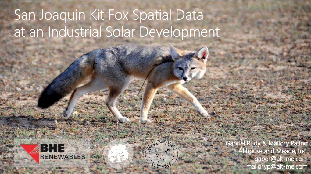 San Joaquin Kit Fox Spatial Data at an Industrial Solar Development