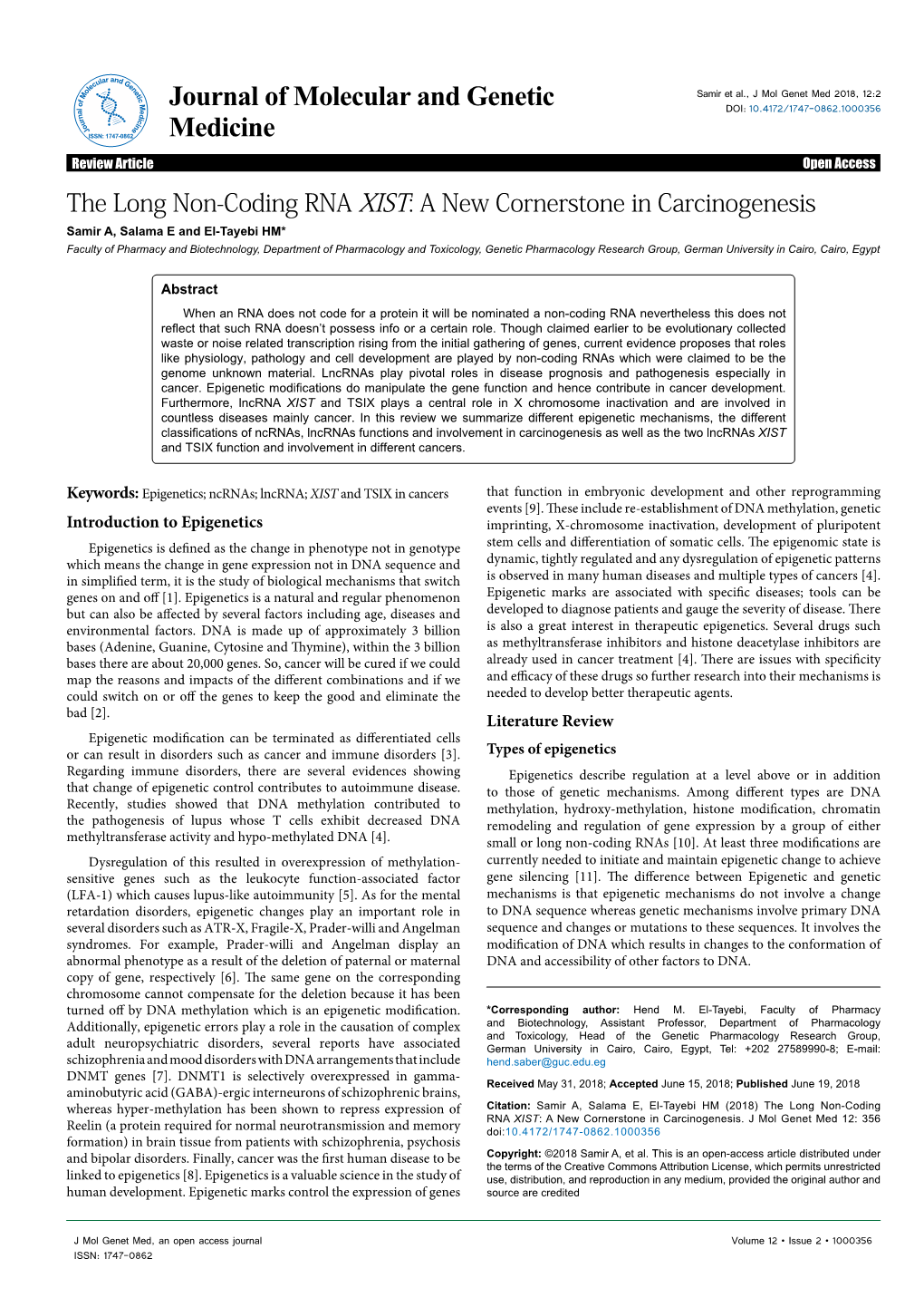 The Long Non-Coding RNA XIST: a New Cornerstone in Carcinogenesis