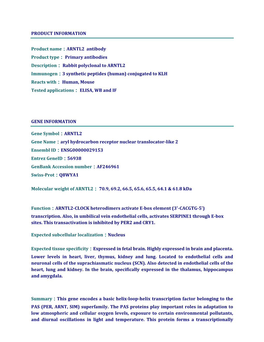 ARNTL2 Antibody Product Type