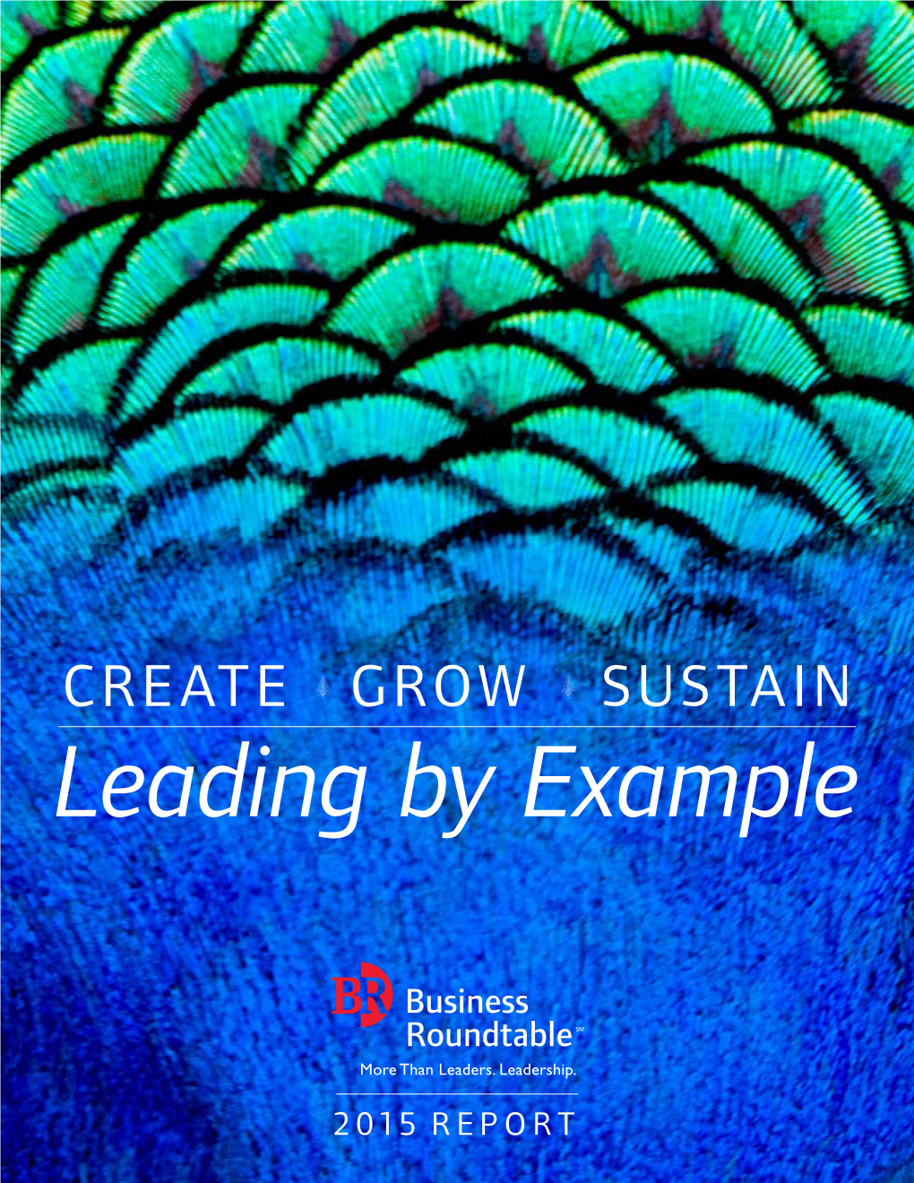 CREATE 1 GROW 1 SUSTAIN Leading by Example