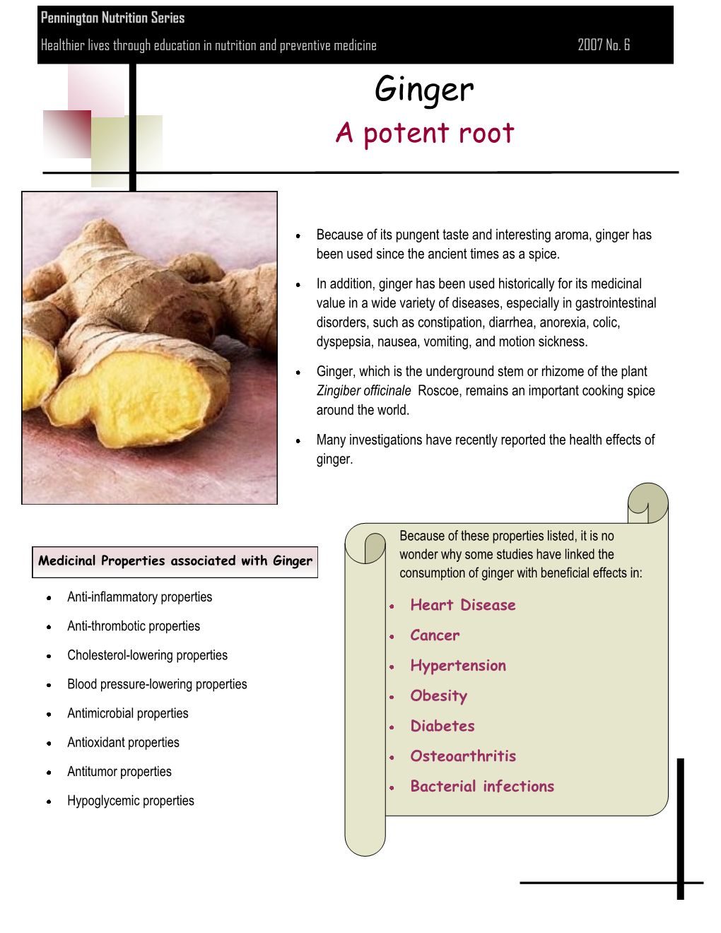 Ginger a Potent Root