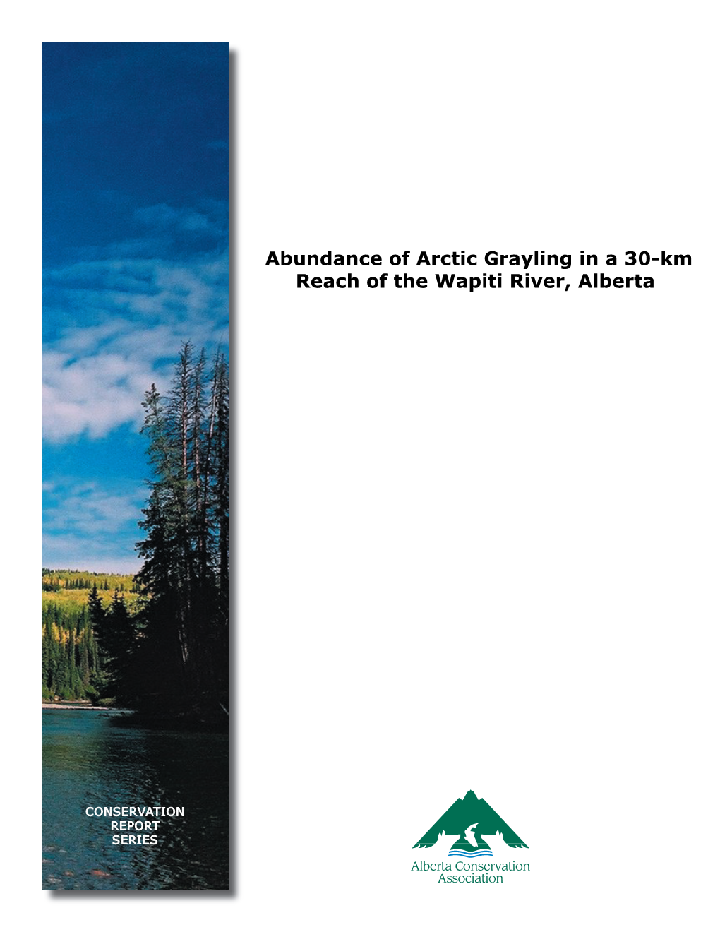 Abundance of Arctic Grayling in a 30-Km Reach of the Wapiti River, Alberta