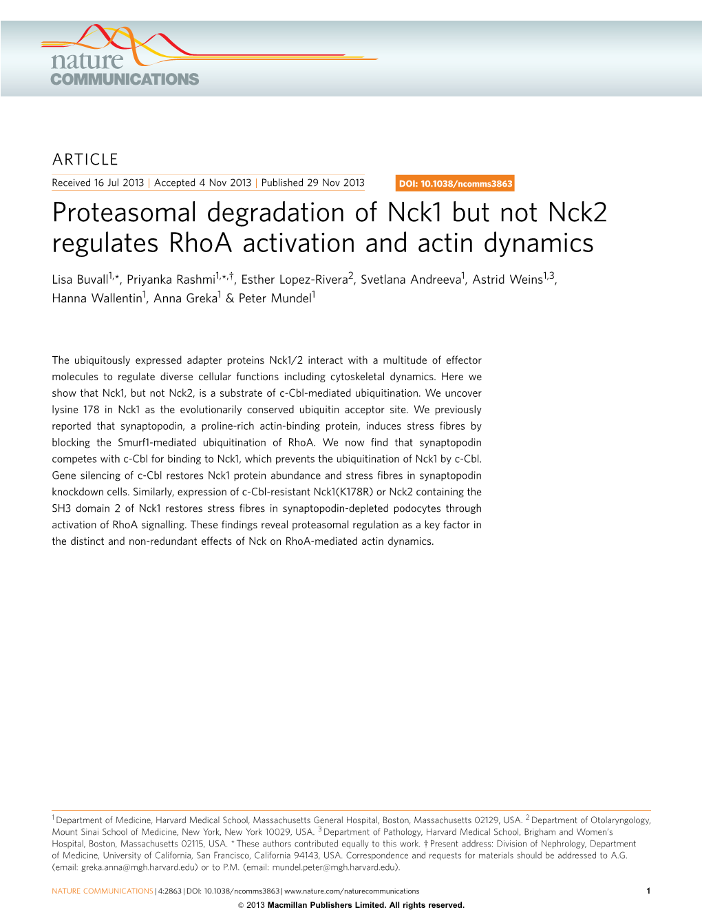 Proteasomal Degradation of Nck1 but Not Nck2 Regulates Rhoa Activation and Actin Dynamics