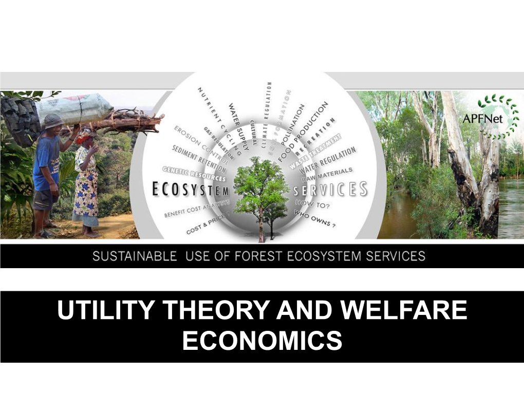 UTILITY THEORY and WELFARE ECONOMICS Learning Outcomes