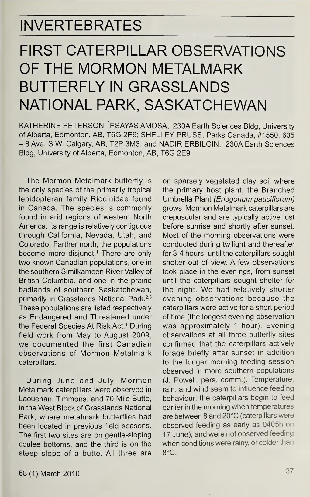 Invertebrates First Caterpillar Observations of the Mormon Metalmark Butterfly in Grasslands National Park, Saskatchewan