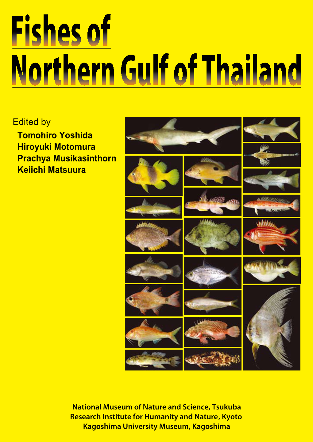 Fishes of Northern Gulf of Thailand Ii Iii