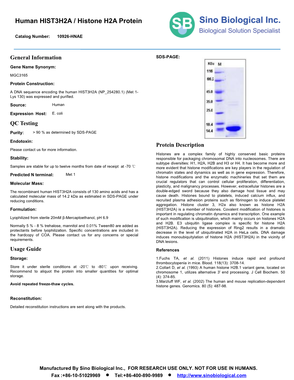 Human HIST3H2A / Histone H2A Protein