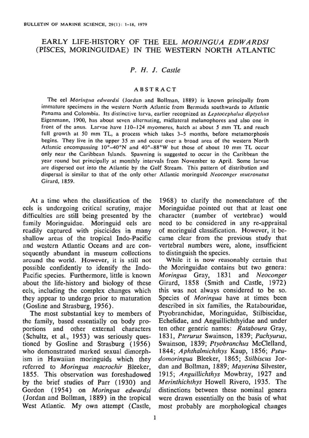 Early Life-History of the Eel <I>Moringua Edwardsi</I> (Pisces, Moringuidae) in the Western North Atlantic