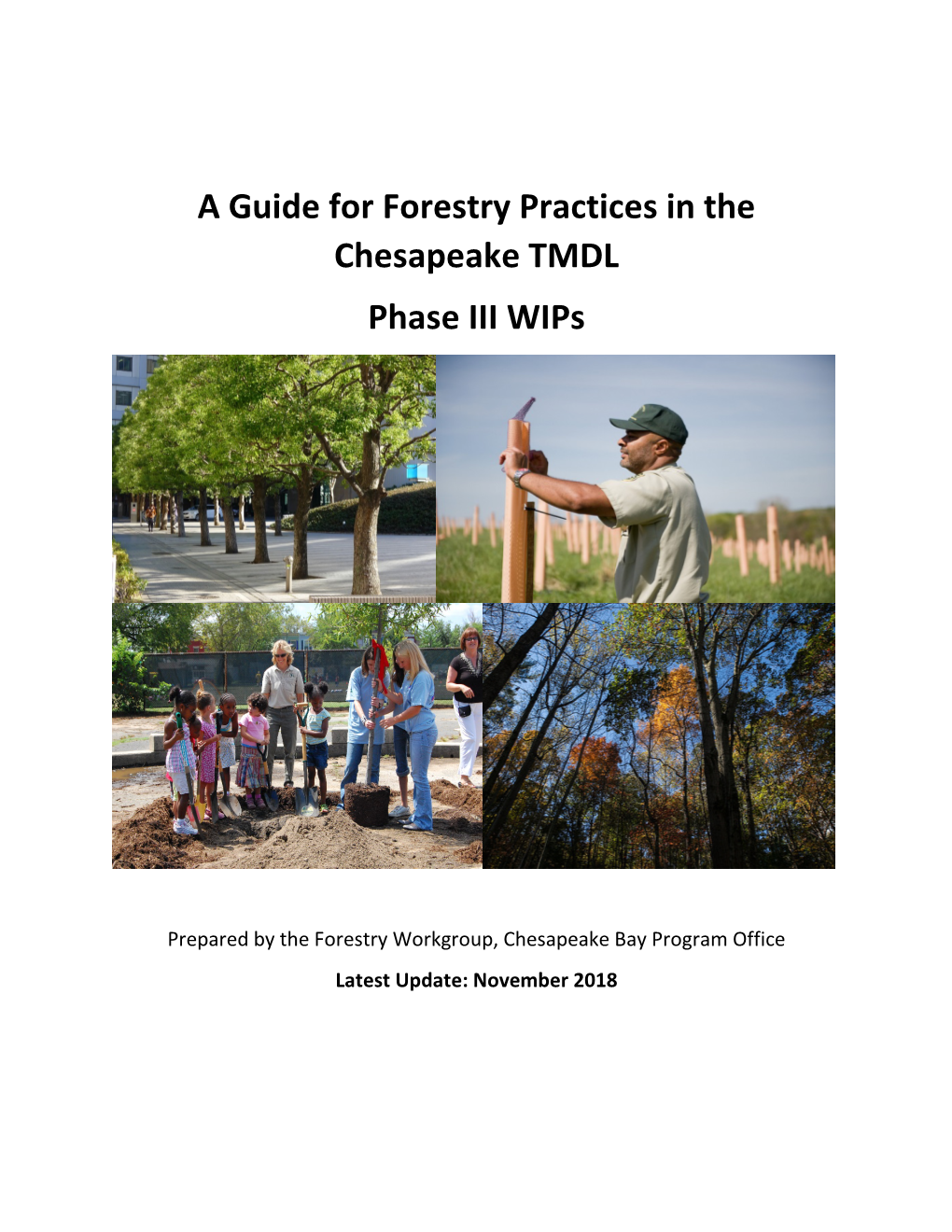 A Guide for Forestry Practices in the Chesapeake TMDL Phase III Wips