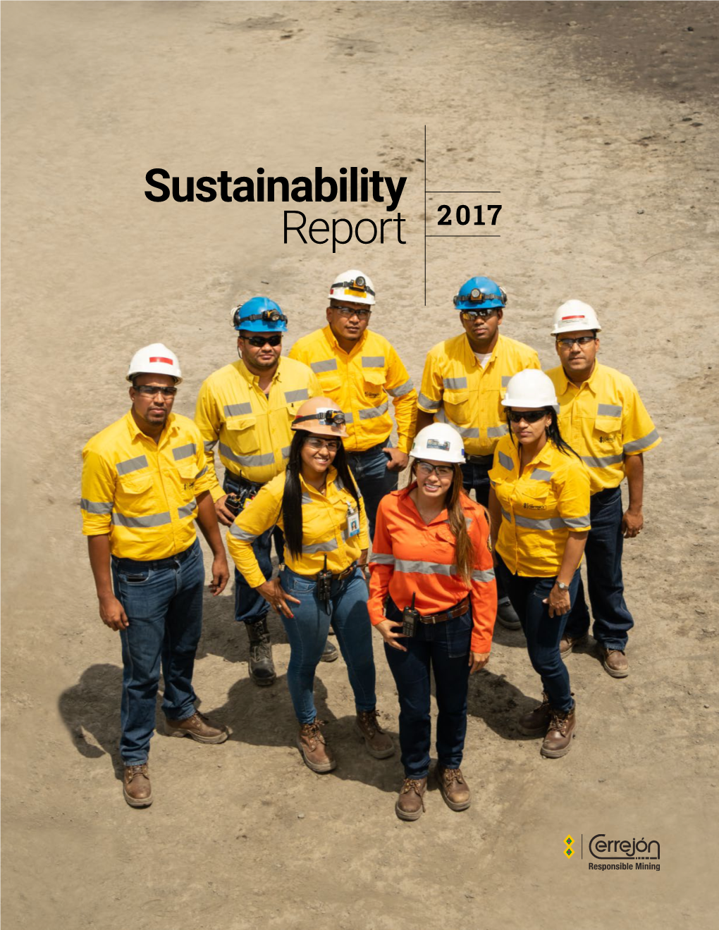 Sustainability Report 2017 SUSTAINABILITY REPORT