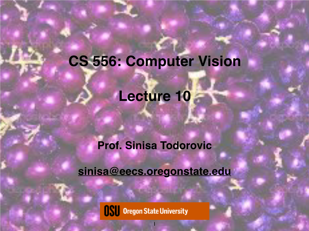 CS 556: Computer Vision Lecture 10