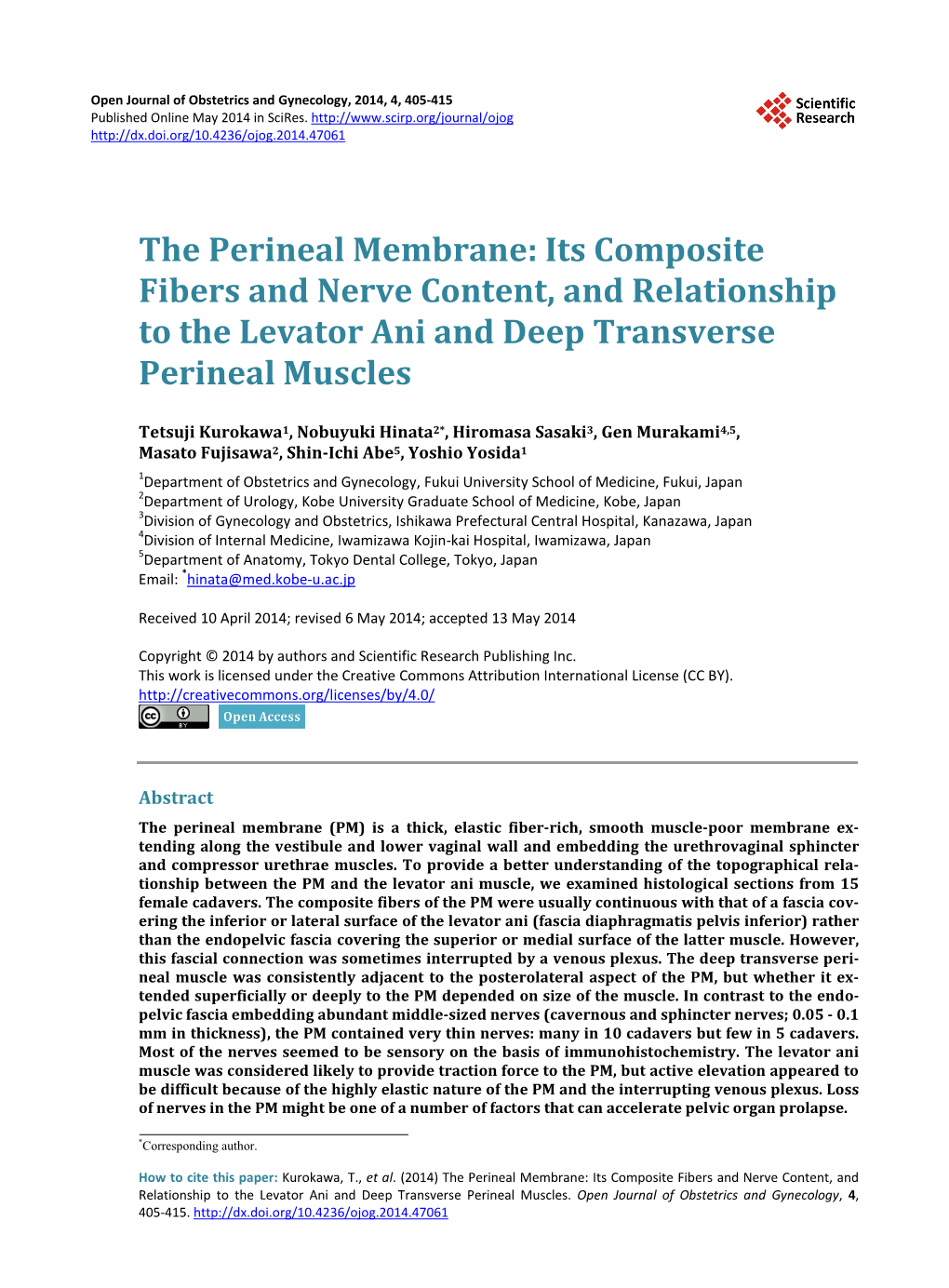 The Perineal Membrane: Its Composite Fibers and Nerve Content, and Relationship to the Levator Ani and Deep Transverse Perineal Muscles