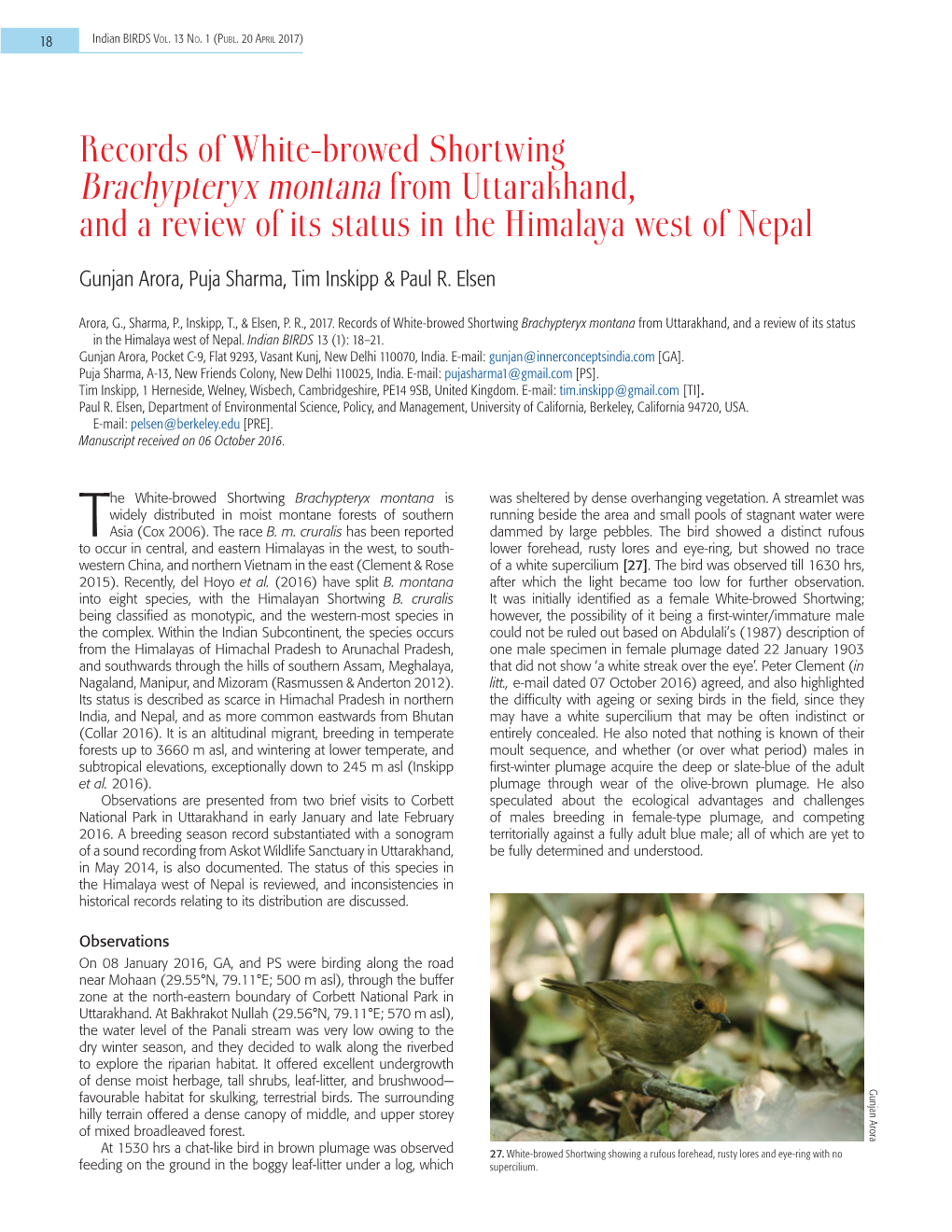 Records of White-Browed Shortwing Brachypteryx Montana from Uttarakhand, and a Review of Its Status in the Himalaya West of Nepal