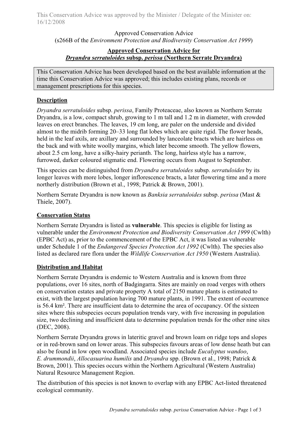 Approved Conservation Advice for Dryandra Serratuloides Subsp. Perissa (Northern Serrate Dryandra)