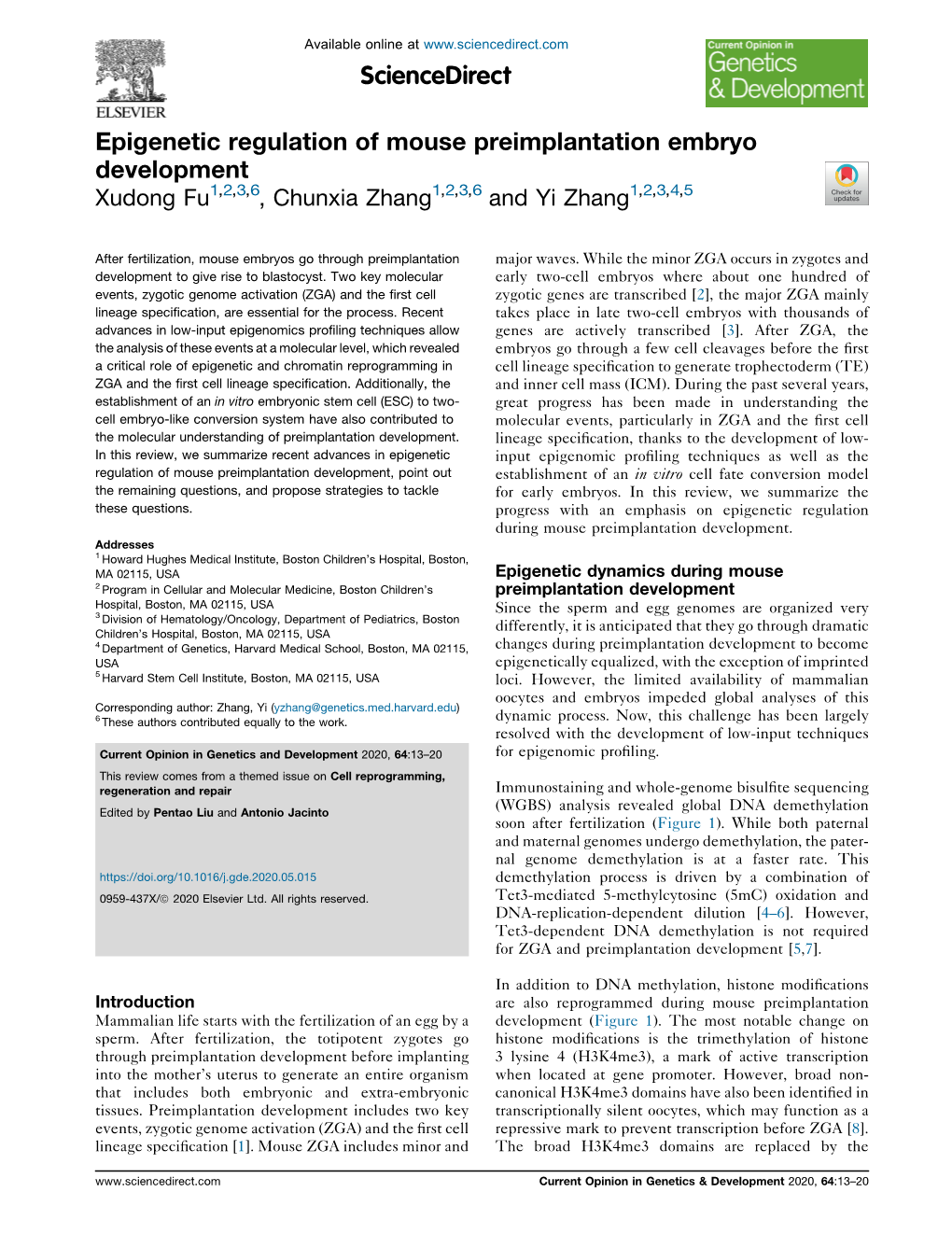 Epigenetic Regulation of Mouse Preimplantation Embryo Development