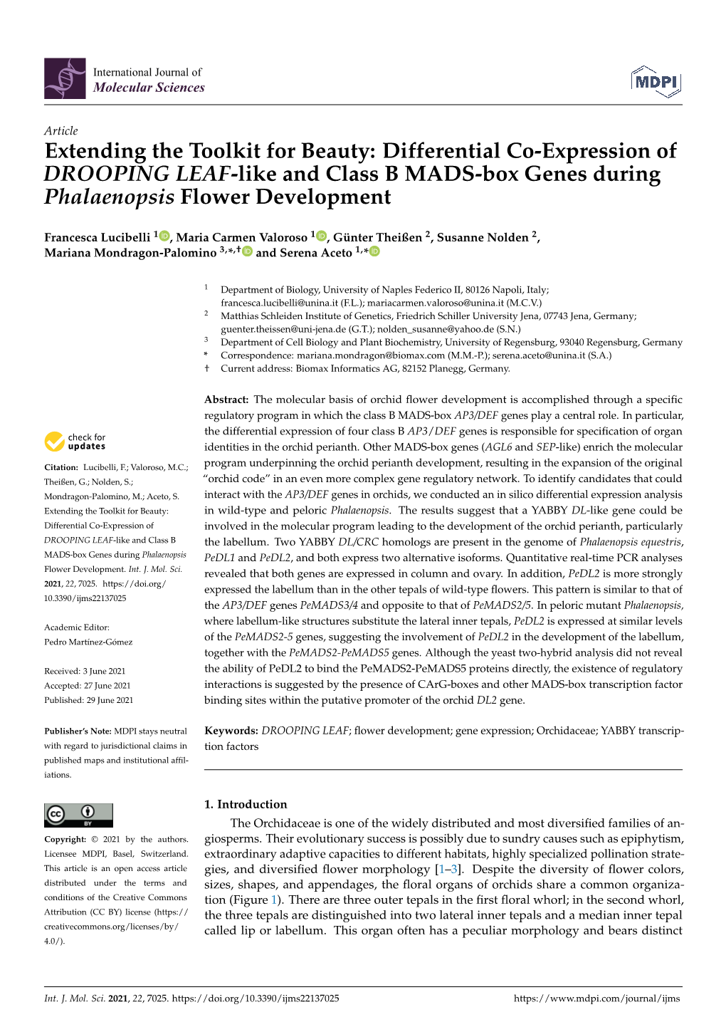 Differential Co-Expression of DROOPING LEAF-Like and Class B MADS-Box Genes During Phalaenopsis Flower Development