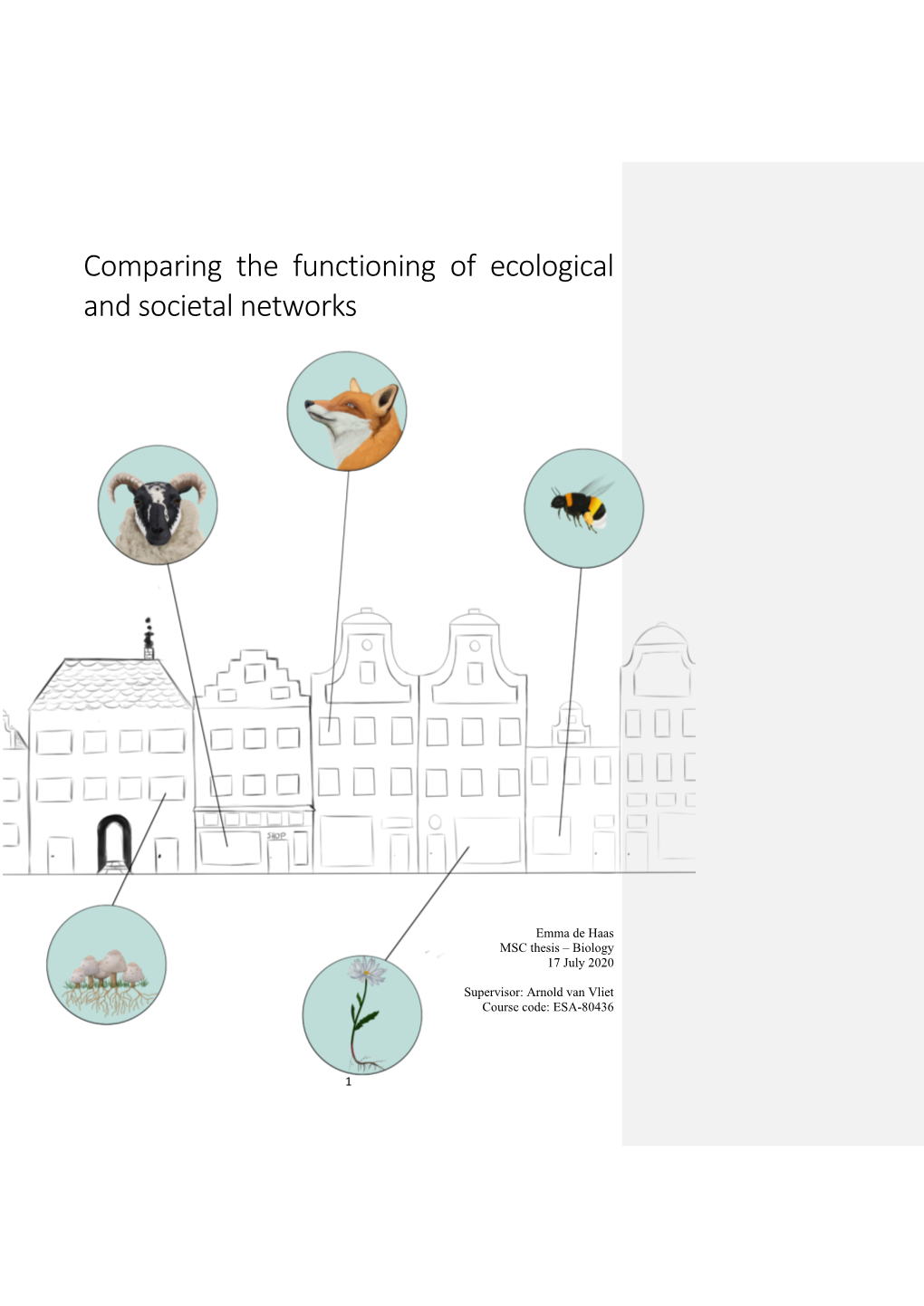 Comparing the Functioning of Ecological and Societal Networks