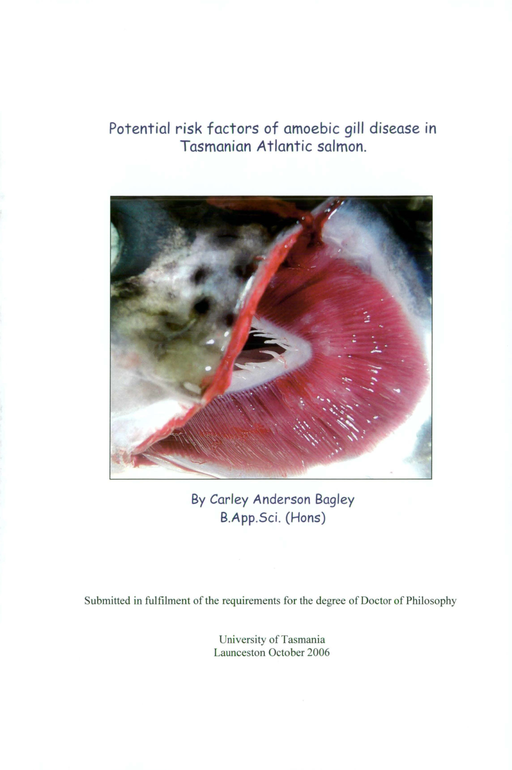 Potential Risk Factors of Amoebic Gill Disease in Tasmanian Atlantic Salmon