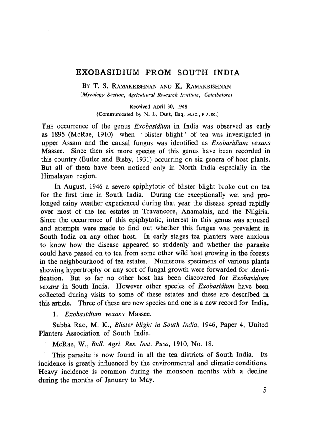 Exobasidium from South India