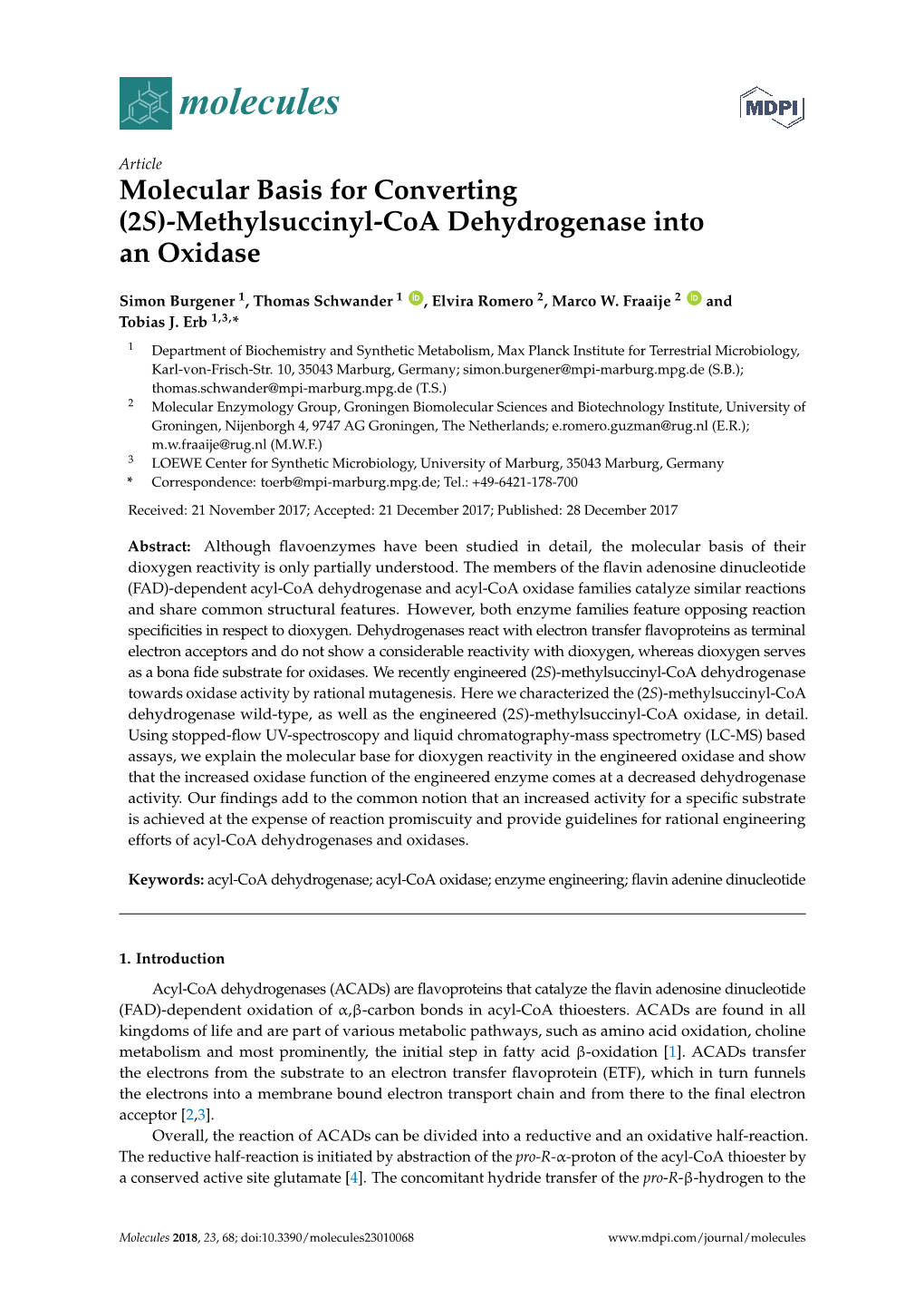 Methylsuccinyl-Coa Dehydrogenase Into an Oxidase