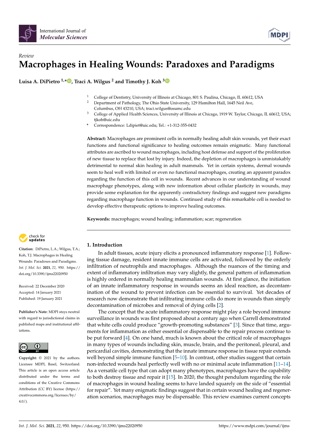 Macrophages in Healing Wounds: Paradoxes and Paradigms