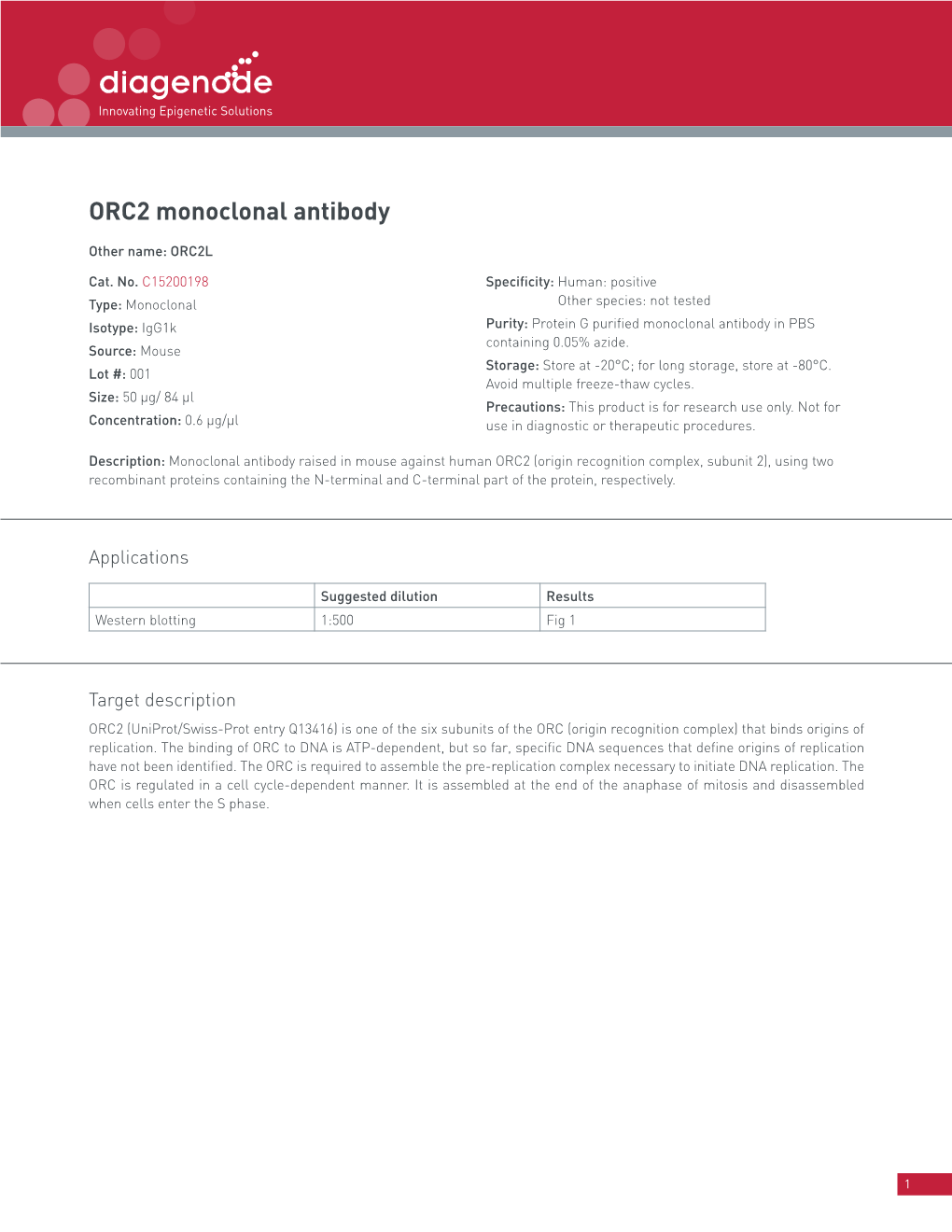 ORC2 Monoclonal Antibody