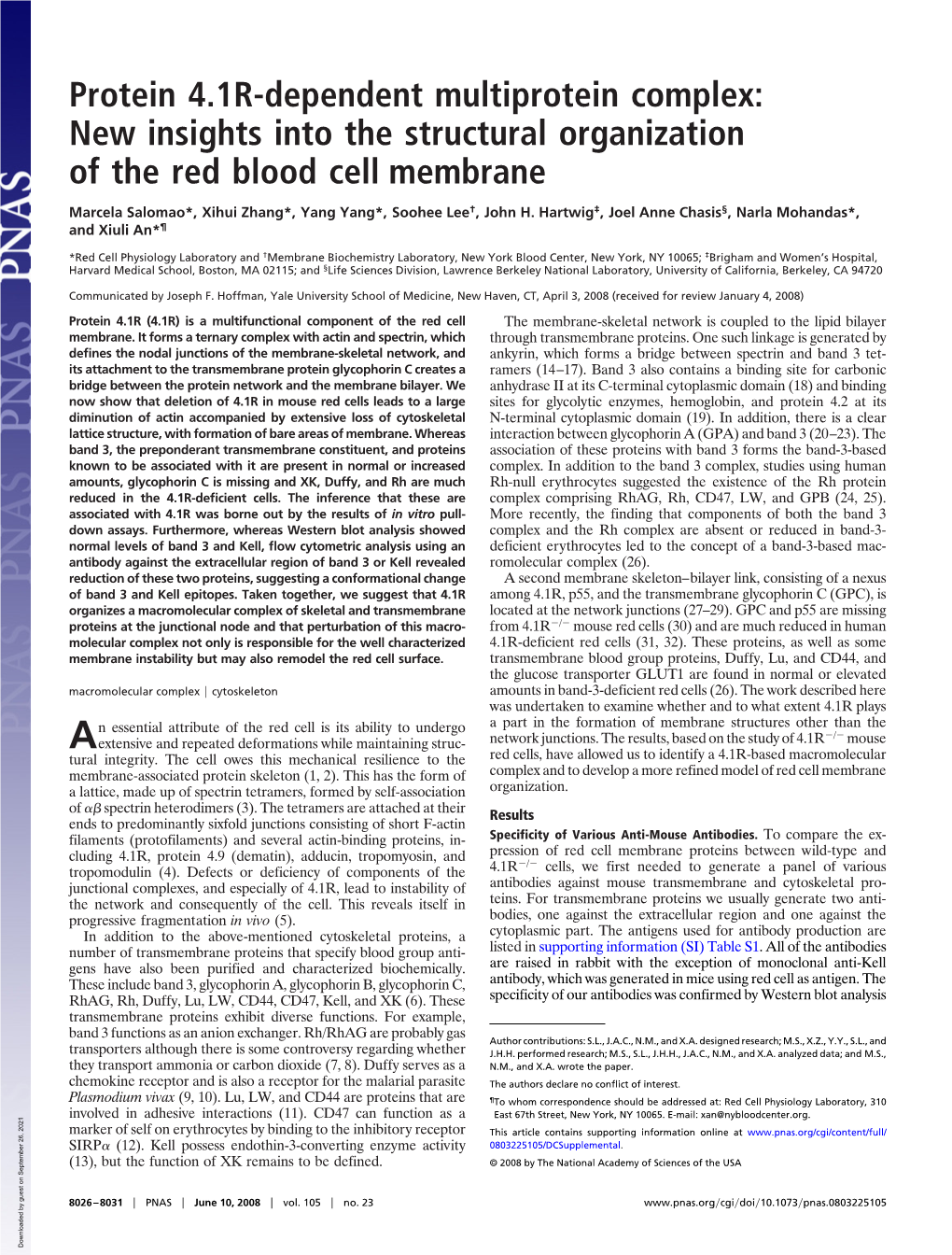 Protein 4.1R-Dependent Multiprotein Complex: New Insights Into the Structural Organization of the Red Blood Cell Membrane