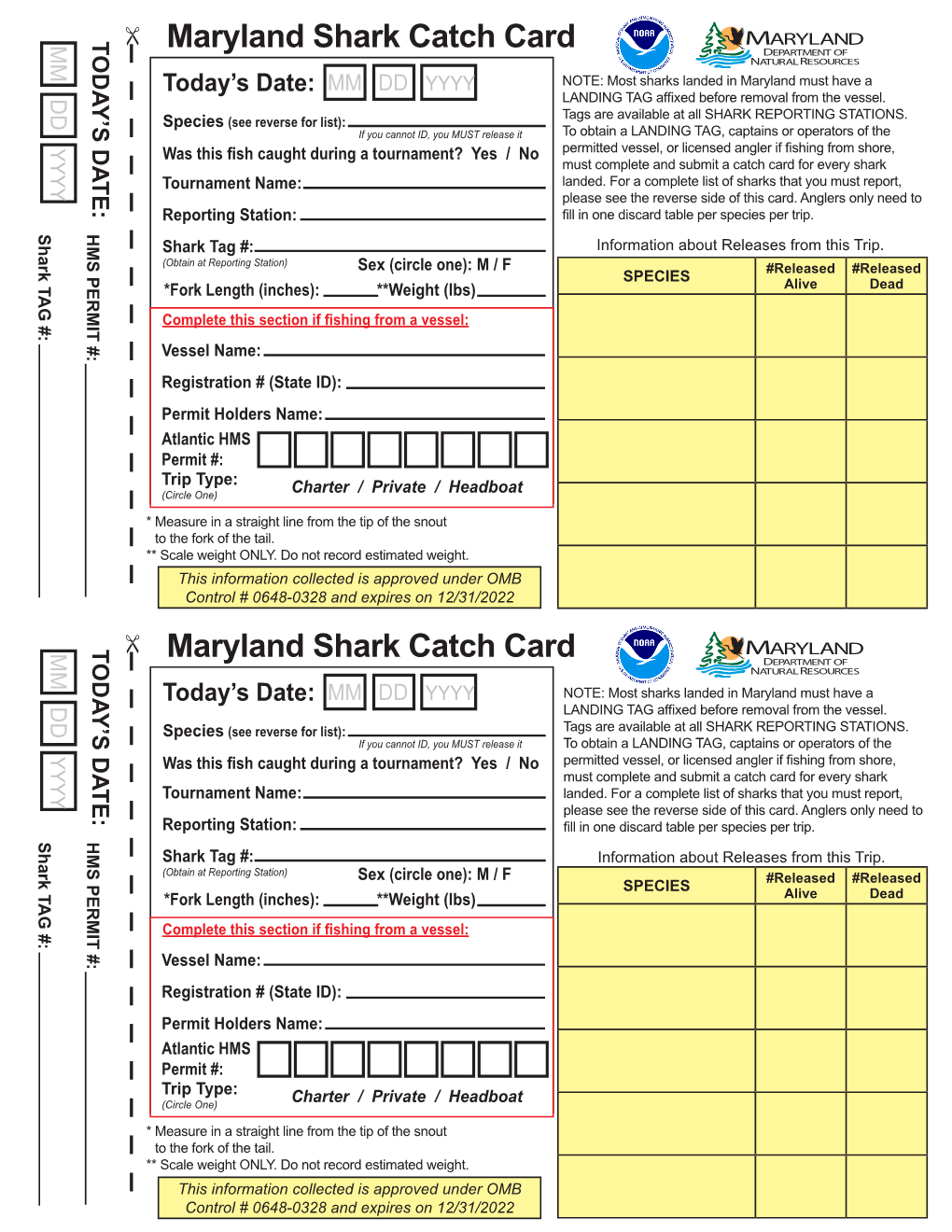 Shark Catch Card