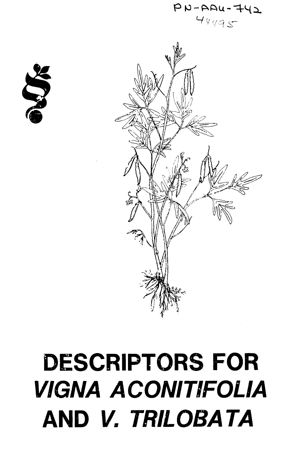 DESCRIPTORS for VIGNA a CONI TIFOLIA and V. TRILOBATA AGPG:IBPGR/85/34 March 1985