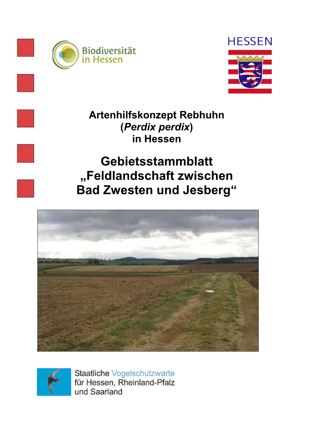 Feldlandschaft Zwischen Bad Zwesten Und Jesberg“