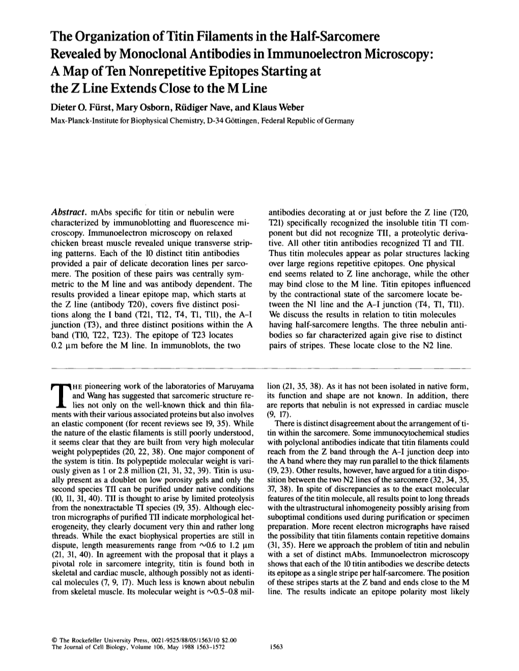 The Organization of Titin Filaments in the Half-Sarcomere