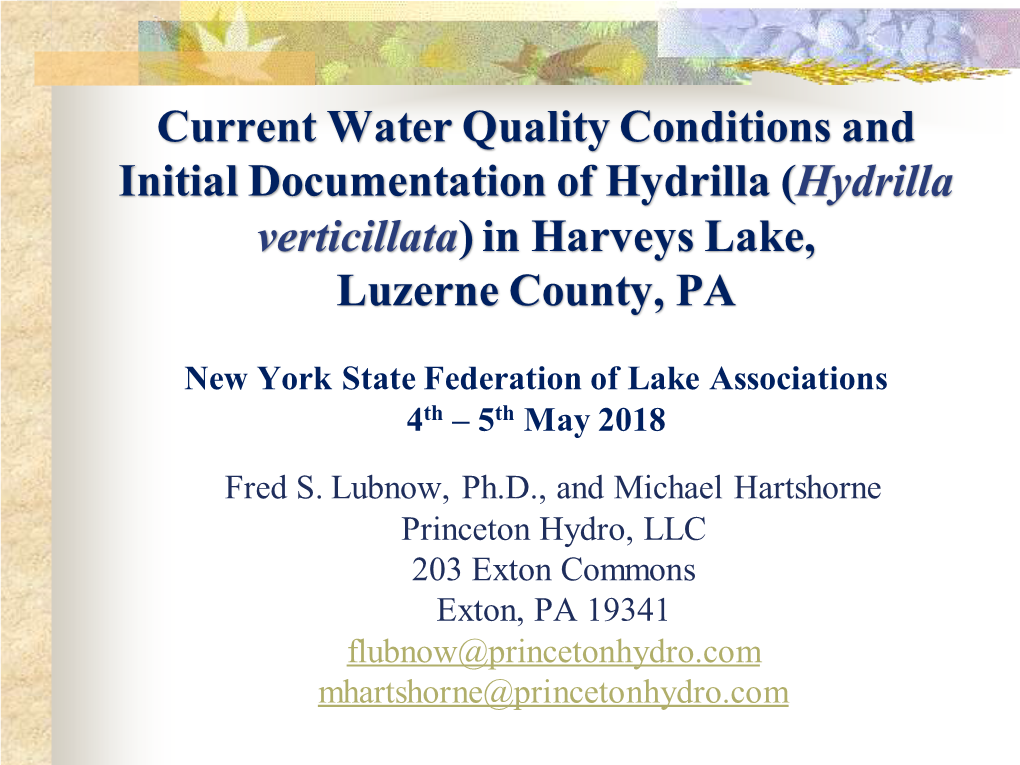 Hydrilla Verticillata) in Harveys Lake, Luzerne County, PA