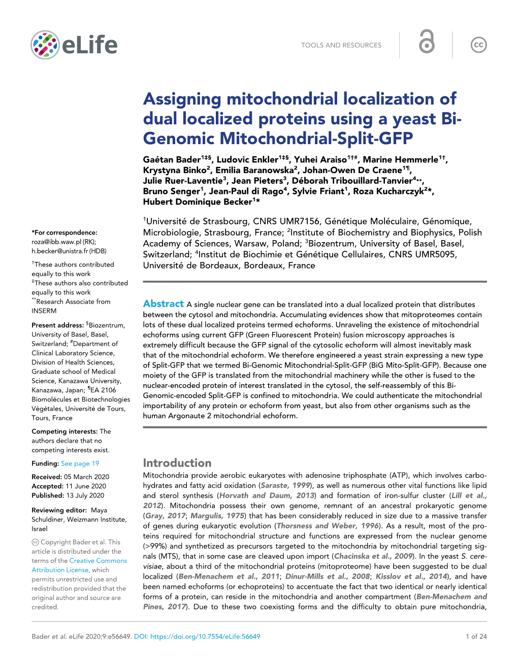 Genomic Mitochondrial-Split-GFP