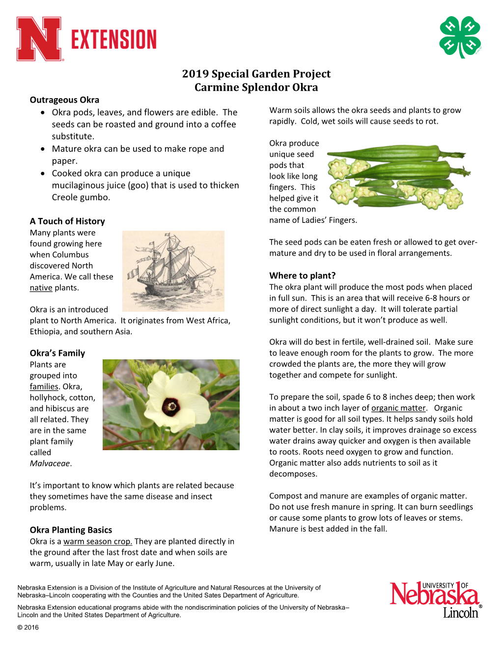 2019 Special Garden Project Carmine Splendor Okra Outrageous Okra  Okra Pods, Leaves, and Flowers Are Edible