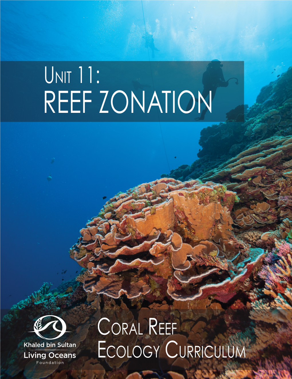 Reef Zonation